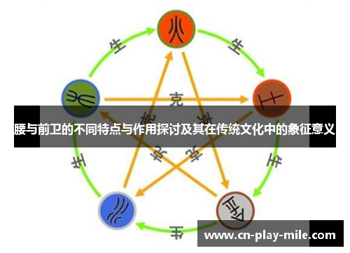 腰与前卫的不同特点与作用探讨及其在传统文化中的象征意义