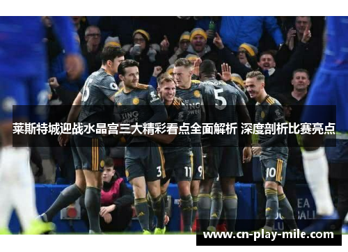 莱斯特城迎战水晶宫三大精彩看点全面解析 深度剖析比赛亮点