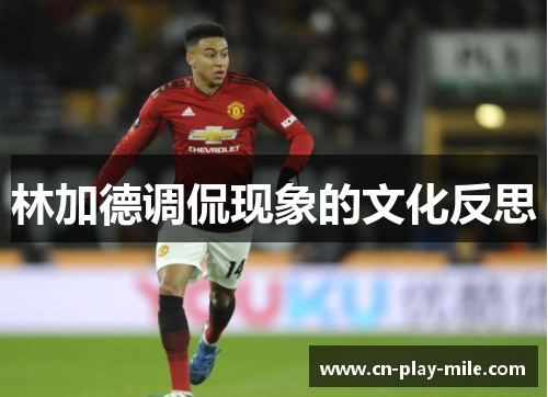 林加德调侃现象的文化反思 林加德调侃现象的文化反思