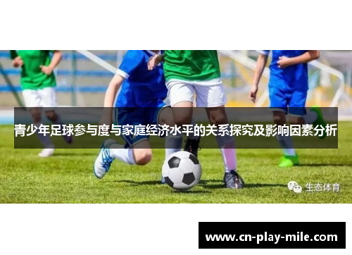 青少年足球参与度与家庭经济水平的关系探究及影响因素分析 青少年足球参与度与家庭经济水平的关系探究及影响因素分析
