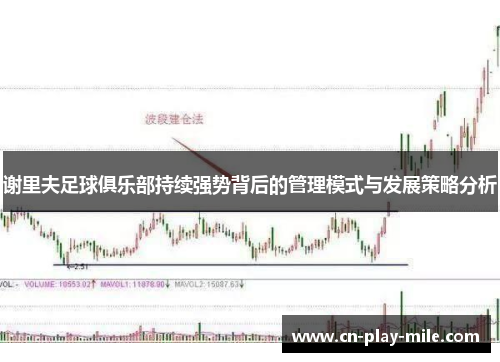 谢里夫足球俱乐部持续强势背后的管理模式与发展策略分析 谢里夫足球俱乐部持续强势背后的管理模式与发展策略分析
