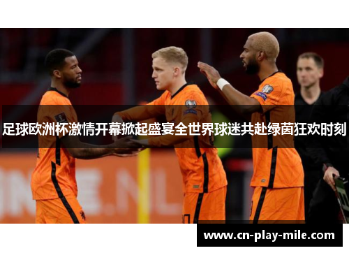 足球欧洲杯激情开幕掀起盛宴全世界球迷共赴绿茵狂欢时刻 足球欧洲杯激情开幕掀起盛宴全世界球迷共赴绿茵狂欢时刻